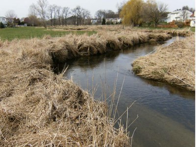 Photo of general habitat conditions in Willow Creek, Pennsylvania