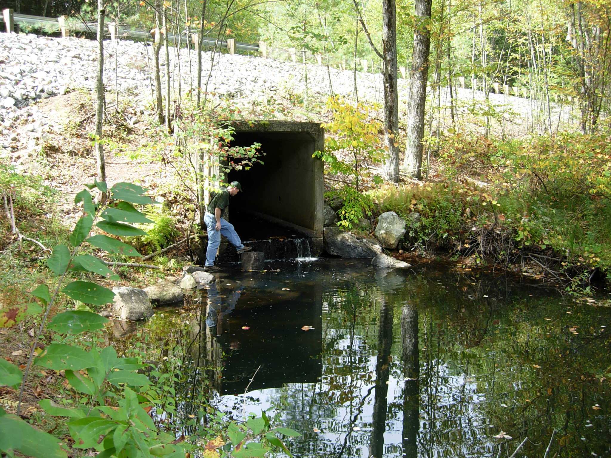 Photo of the Perched Culvert to be Replaced on Hamant Brook in Massachusetts