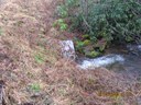 Restoring Aquatic Organism Passage within Tipton Creek, North Carolina