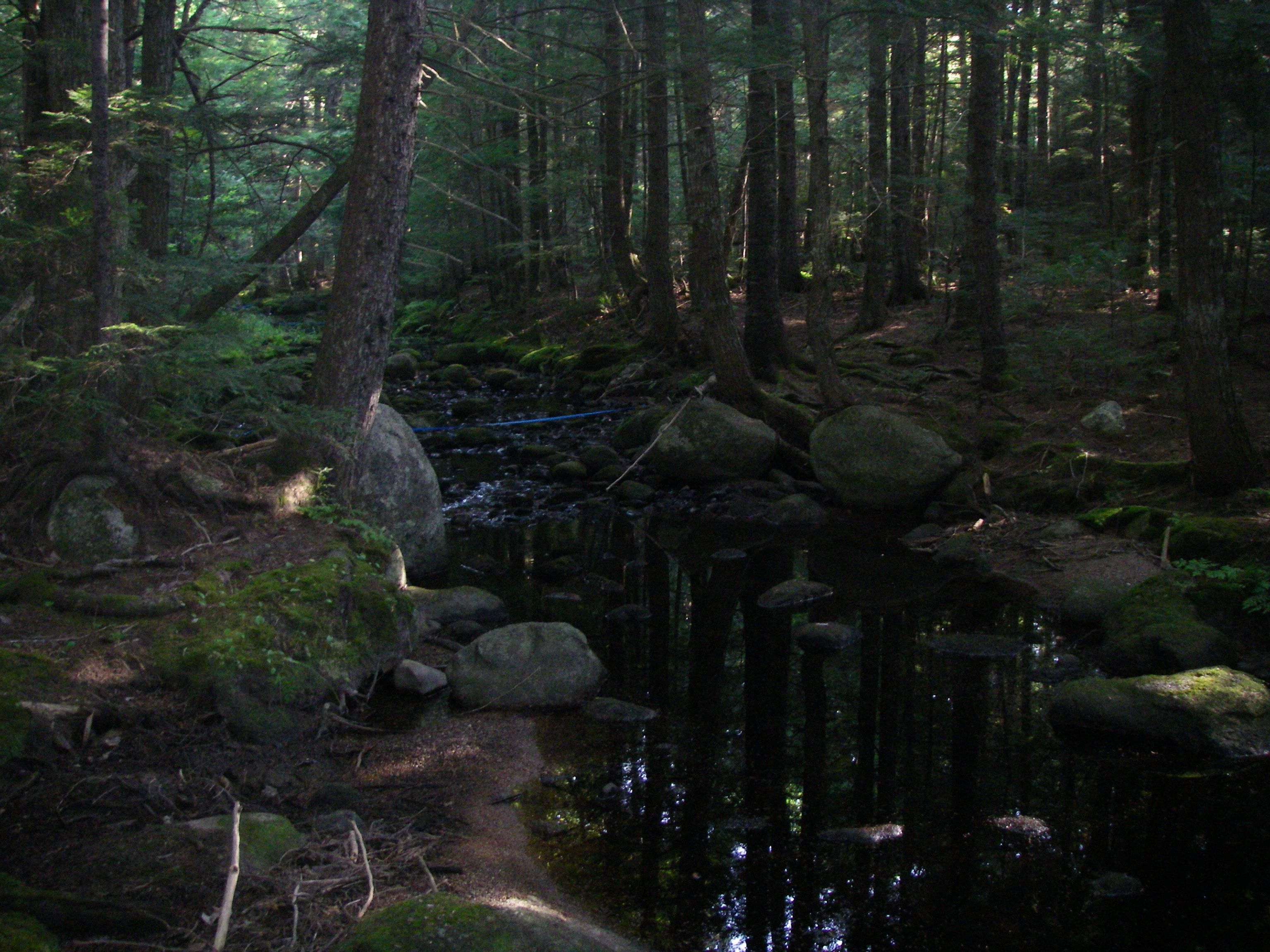 Carloe Brook, Maine