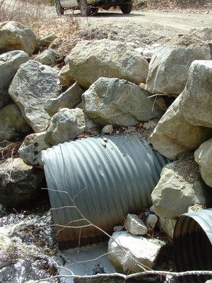 Photo showing the outlet of the culverts on Ash Bog Stream in Maine.  Outlets are perched during most of the summer and the undersized culverts lead to overwash and sedimentation in the stream. 