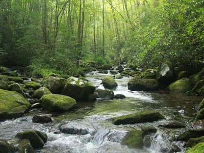 Photo of Lynn Camp Prong in Smoky Mountain National Park in Tennessee.