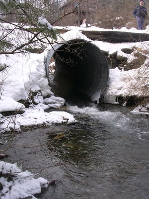 Photo of the culvert to be replaced on Thunder Brook in Massachusetts.