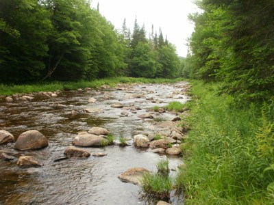 Photo of the mainstem of the Nulhegan River in Vermont.