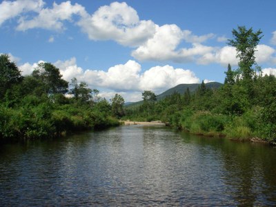 Photo of Nash Stream in Coos County, New Hampshire.  Note the lack of pools, canopy and instream cover between Pond Brook and Long Mountain Brook.