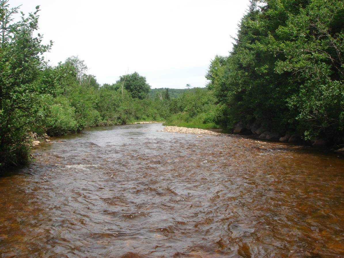 Photo of Nash Stream, Coos County, NH