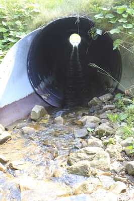 Photo of the fish passage barrier to be replaced on Oats Run in the Upper Shavers Fork in West Virginia.