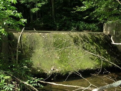 Looking upstream at the dam on Right Branch of Wetmore Run in Pennsylvania.  No water is going over spillway.