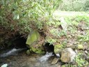 Restoring Aquatic Organism Passage within Wolf Laurel Branch, NC