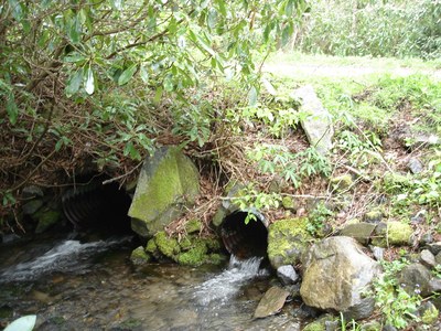 Photo of Wolf Laurel Culvert to be replaced in North Carolina.