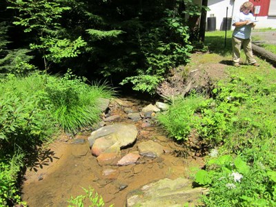 Photo of Upstream Conditions in Big Run in Pennsylvania
