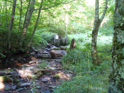 Photo of Idlemans Run, WV