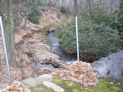 Photo showing the stream below the pool / dam to be restored on Cresskill Brook, NJ