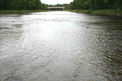 Photo of covered bridge, Meduxneakeag Watershed, ME