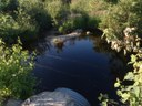 Scott Brook Fish Passage Project, Maine