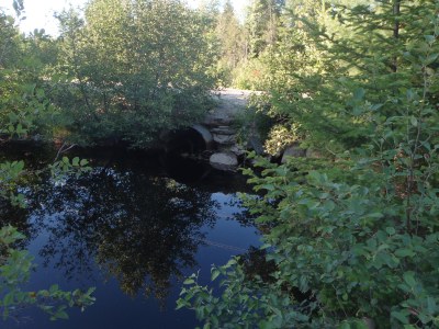 Photo of the structure inlet on Scott Brook, ME