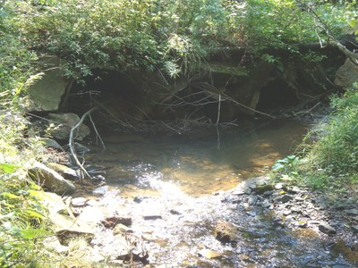 Photo 2 of Morrison Run PA