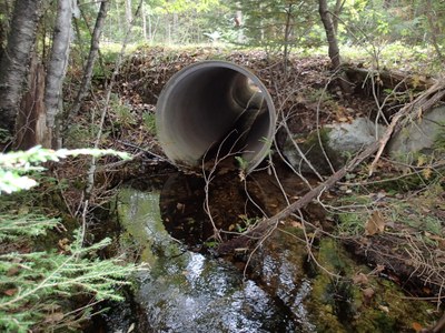 Photo of inlet of culvert on 4th Machias Lake tributary at Belden Brook Rd