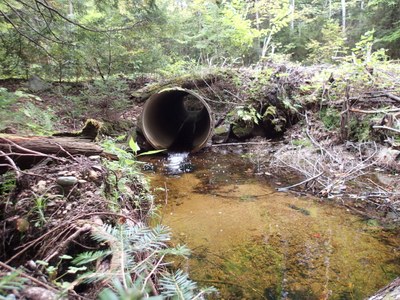 Photo of outlet of culvert on a tributary to 4th Machias Lake at the Belden Brook Rd, 9.13