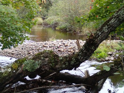 Photo of cobble bar created by scour from culvert on Grand Lake Brook at 4th Lake Rd, 9.13