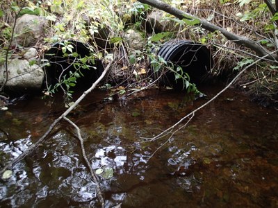 Photo of culvert inlets, Billy Brown Brook at Shaw St, 9.13