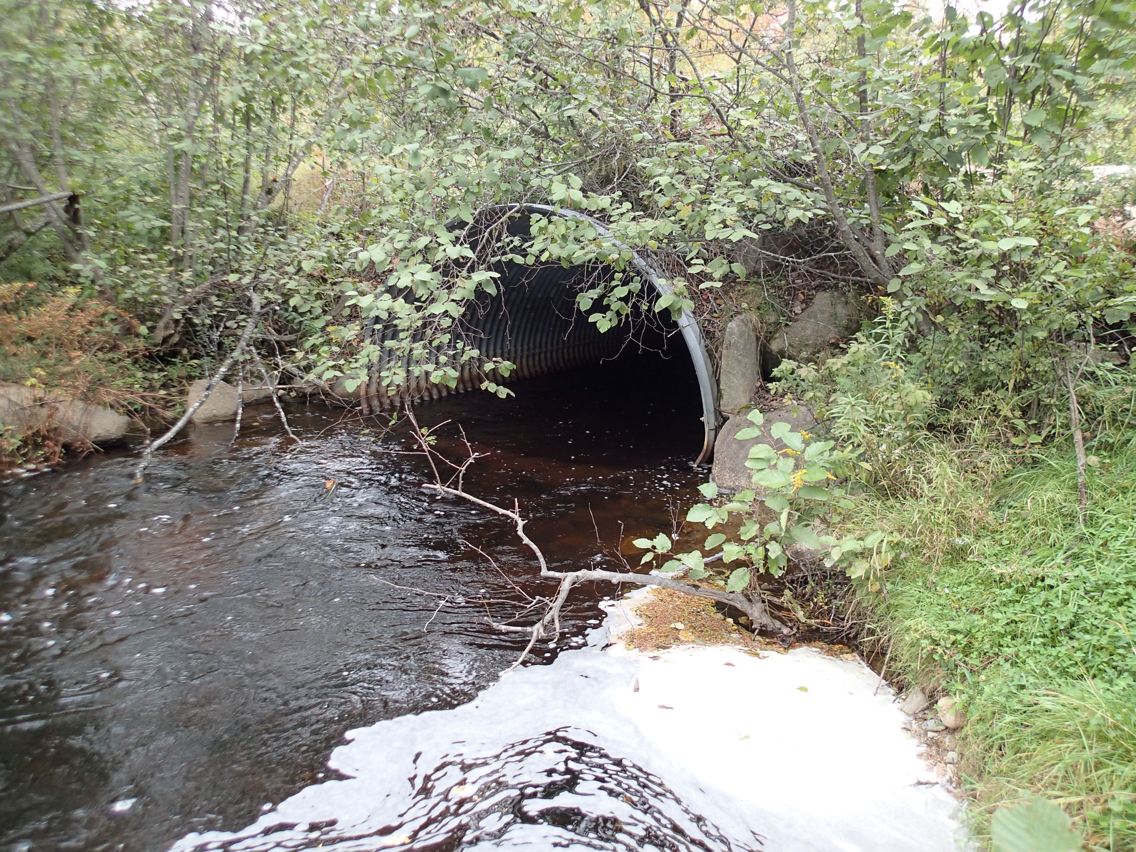 Culvert outlet, Grand Lake Brook at 4th Lake Rd, 9.13