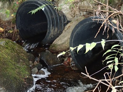 Photo of culvert outlets, Billy Brown Brook at Shaw St, 9.13