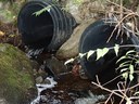 2014 Restoring Habitat Connectivity, Machias & Saint Croix River tributary streams ME: EBTJV&NFHAP