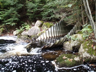 Picture of outlet of existing culvert on the West Branch of Amazon Brook at the Amazon Road