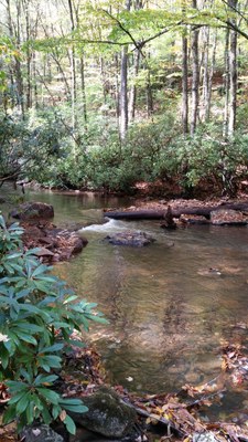 Mill Creek, WV Post Project Photo 6