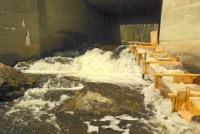 Photograph showing Patten Stream and a temporary fish ladder that was constructed. The Project is to construct a permanent rock weir. The engineering work for this construction is well underway and is expected to be complete by the end of the year.