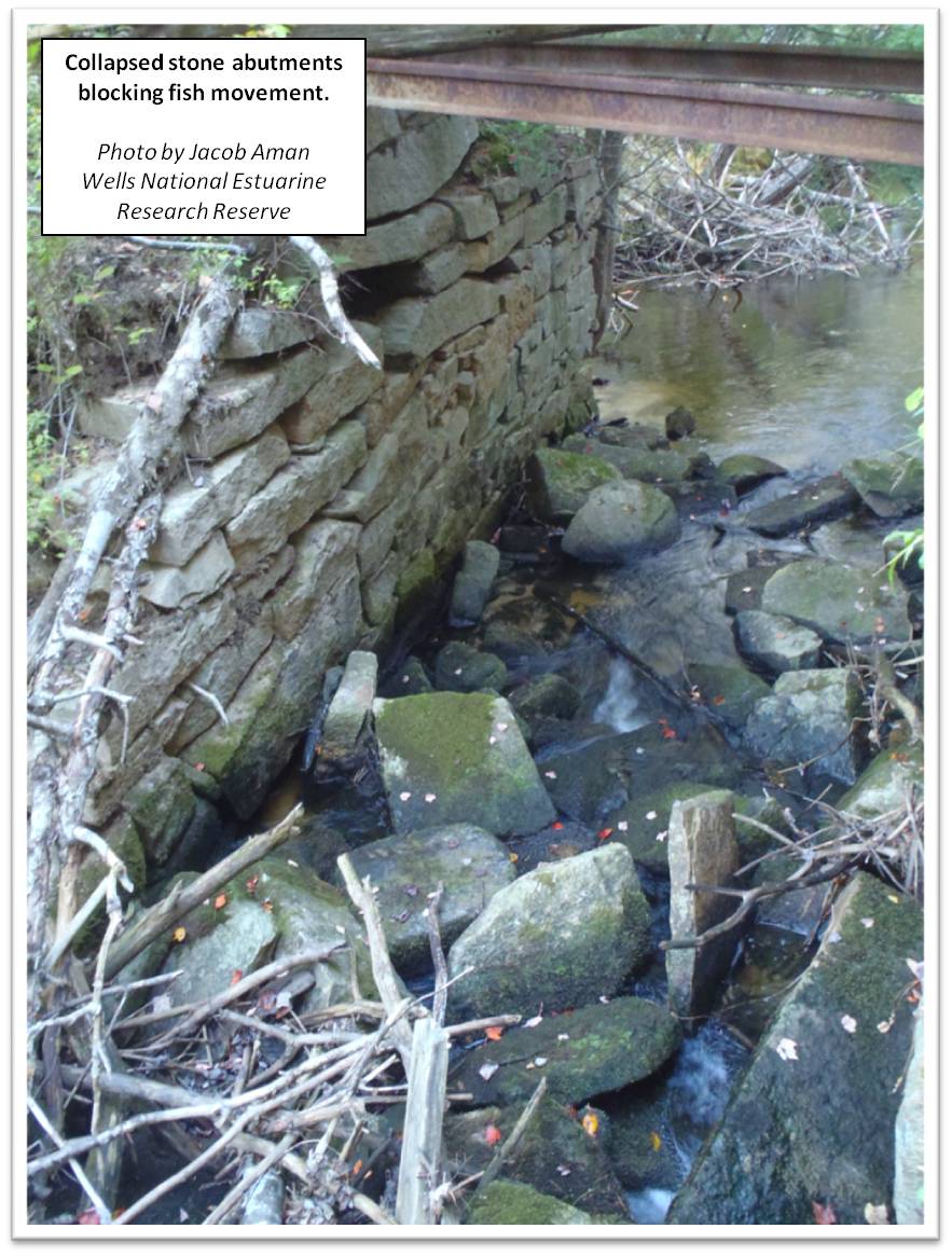 Fish Passage Barrier at Failed Stream Crossing