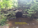 St. Croix River Tributary Culvert Replacement,West Musquash Tributary, Grand Lake Stream, Maine