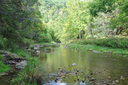 Upper South Branch/Thorn Creek Brook Trout Patch Restoration and Monitoring, Cave, WV