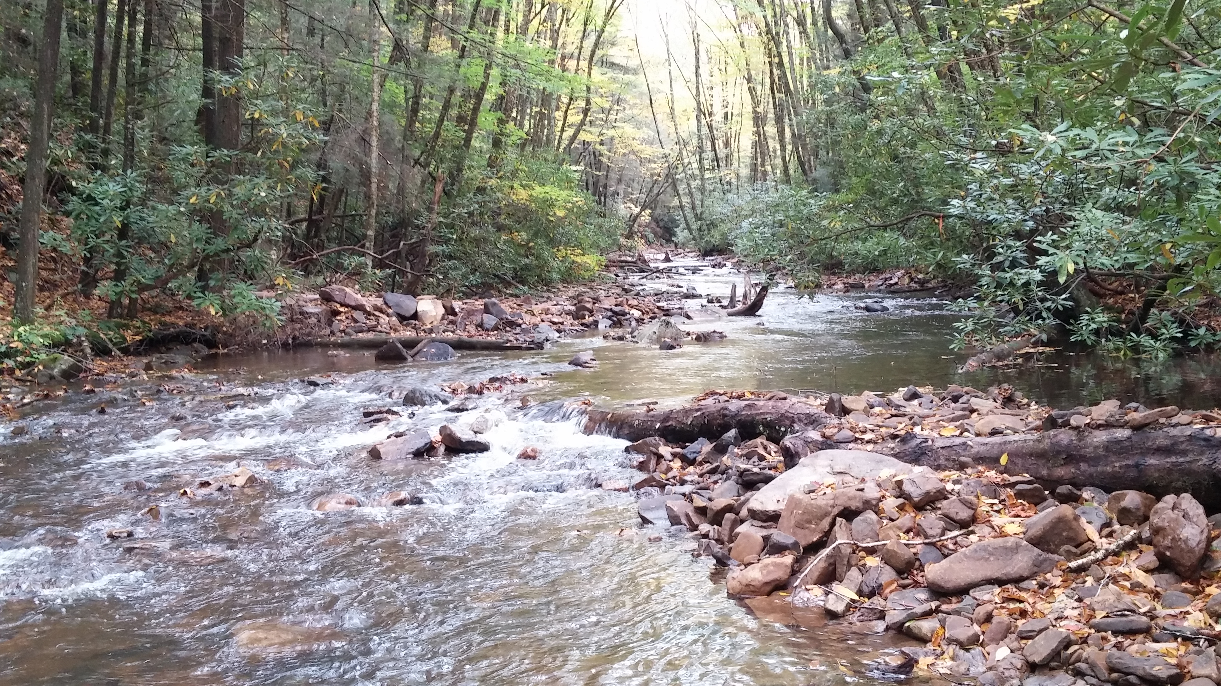 Mill Creek, WV Post Project Photo 2