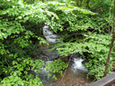 Culvert Replacement and Stream Restoration in Wolfden Run, Garrett County, Maryland