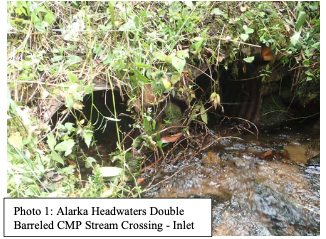 Alaka Headwaters Double Barrel Stream Crossing - inlet