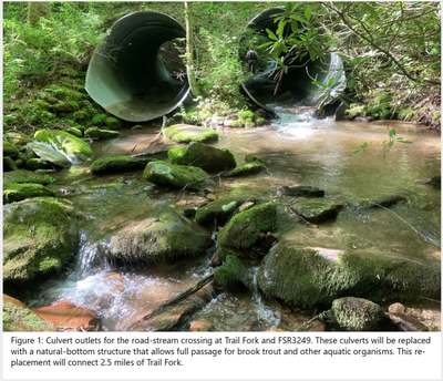 Trail Fork culvert outlet