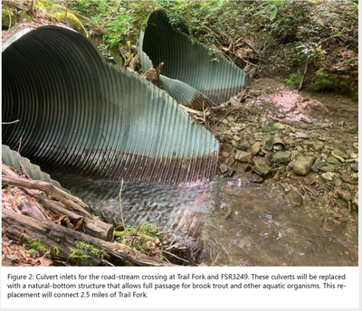 Culvert on Trail Fork