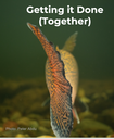 Together