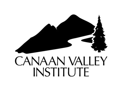 CVI logo scaled for print
