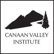 CVI logo for use on web display