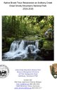 Anthony Creek & Little Cataloochee Creek Restoration, TN/NC_FY17 Project