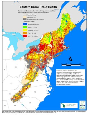 Eastern Brook Trout Health map