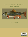 Conserving the Eastern Brook Trout-Action Strategies_January 2018