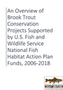 An Overview of Brook Trout Conservation Projects Supported by U.S. Fish and Wildlife Service National Fish Habitat Action Plan Funds, 2006-2018