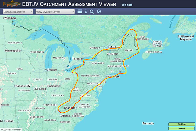 Assessment Viewer Assessment Viewer Tool Image