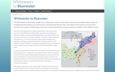 Whitewater to Bluewater (W2B)