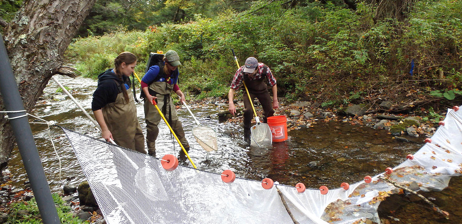 Science and Data banner photo