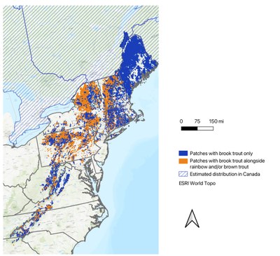 This map shows patches, or groupings of small watersheds, where wild brook trout exist either without the competition of brown and rainbow trout, or alongside these non-native species.
